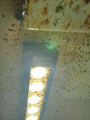 ����� ��������� ������� ���� SVL-1055